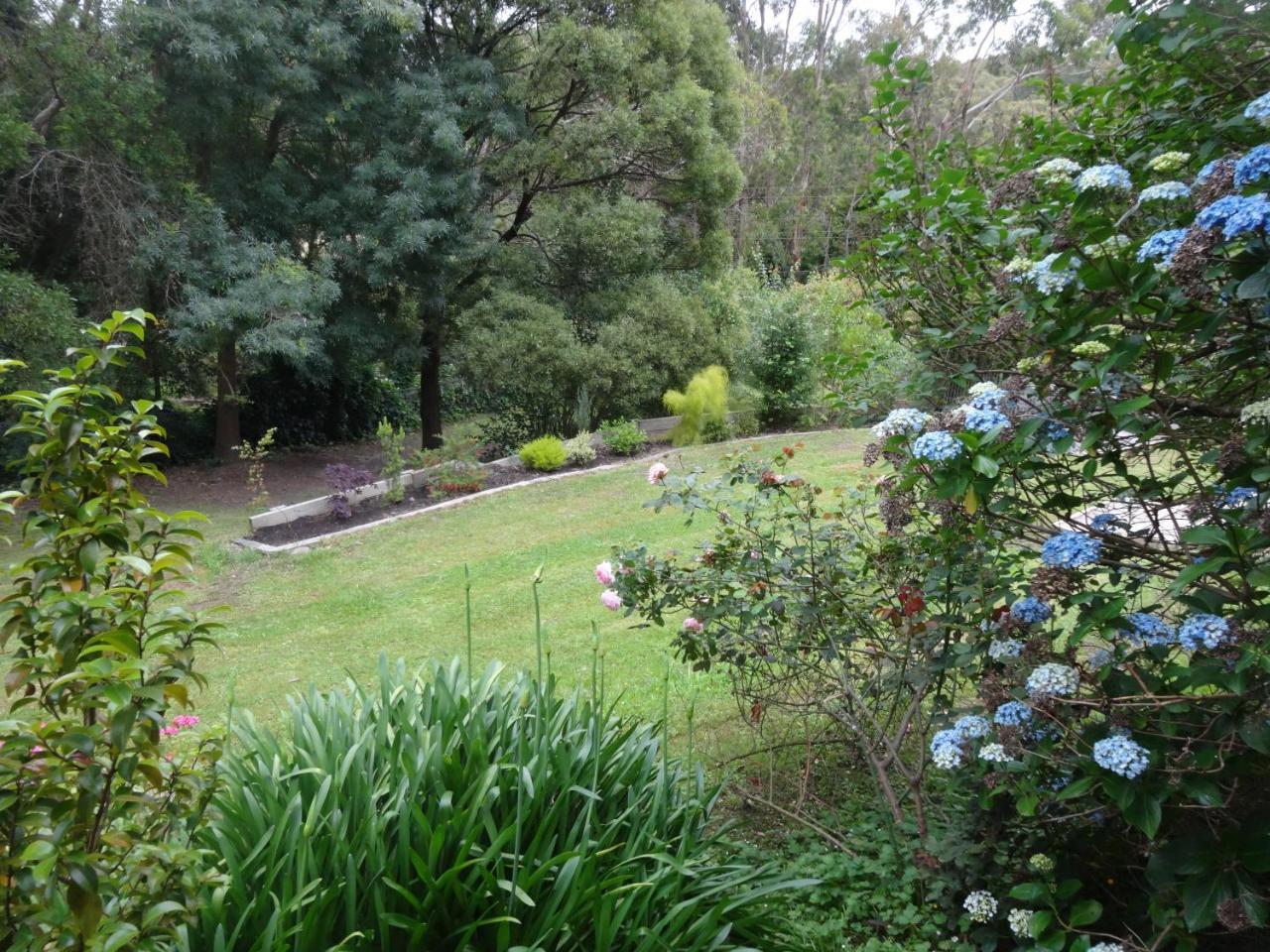 Yarra Ranges Country Apartment Mount Evelyn Exterior foto